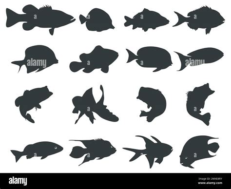 fish silhouette images|7,976 Fish Silhouette Stock Photos & High.